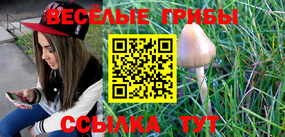 Псилоцибиновые грибы ЛСД  Вход с VPN  Елизово  Галлюциногенные грибы MAGIC MUSHROOMS 